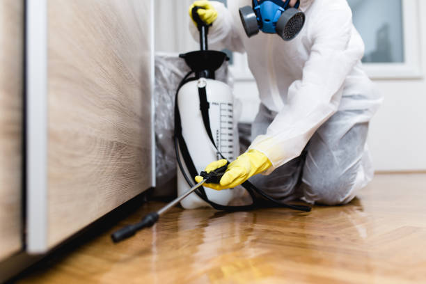Best Flea Control Services  in Trumbull Center, CT