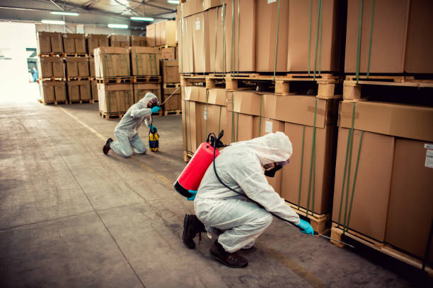 Best Rat Extermination Near Me  in Trumbull Center, CT