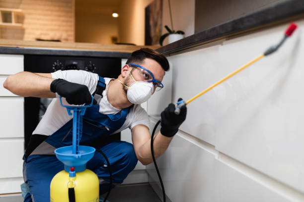 Best Pest Inspection Near Me  in Trumbull Center, CT