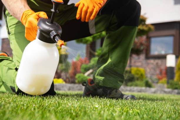 Best Pest Control Near Me in Trumbull Center, CT