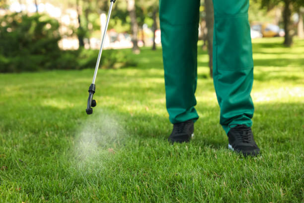 Best Wasp Removal Services  in Trumbull Center, CT