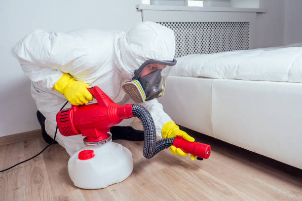 Best Affordable Pest Control Services  in Trumbull Center, CT
