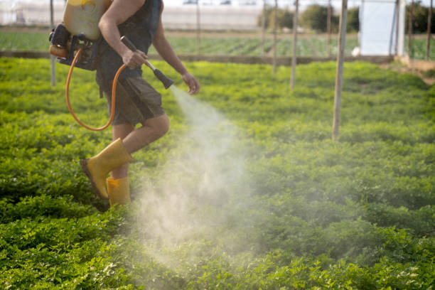 Best Mosquito Control Services  in Trumbull Center, CT