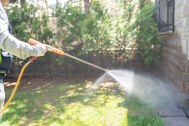 Best Spider Control Near Me  in Trumbull Center, CT
