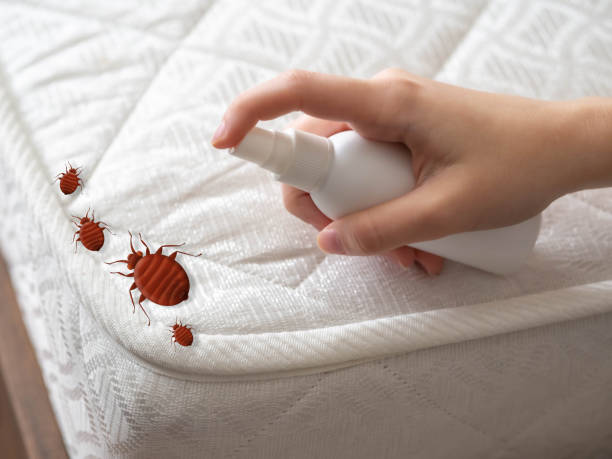 Best Pest Prevention Services  in Trumbull Center, CT
