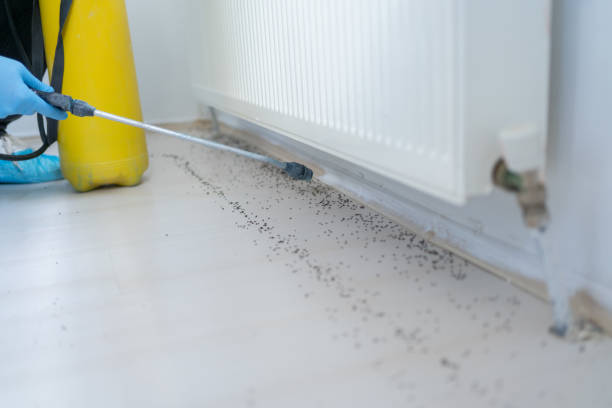 Best Pest Control Near Me  in Trumbull Center, CT