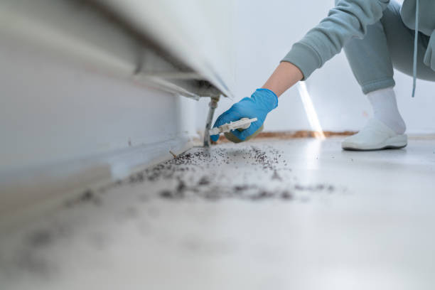 Best Cockroach Control Services  in Trumbull Center, CT