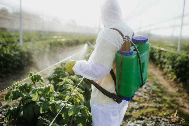 Best Wildlife Control Services  in Trumbull Center, CT